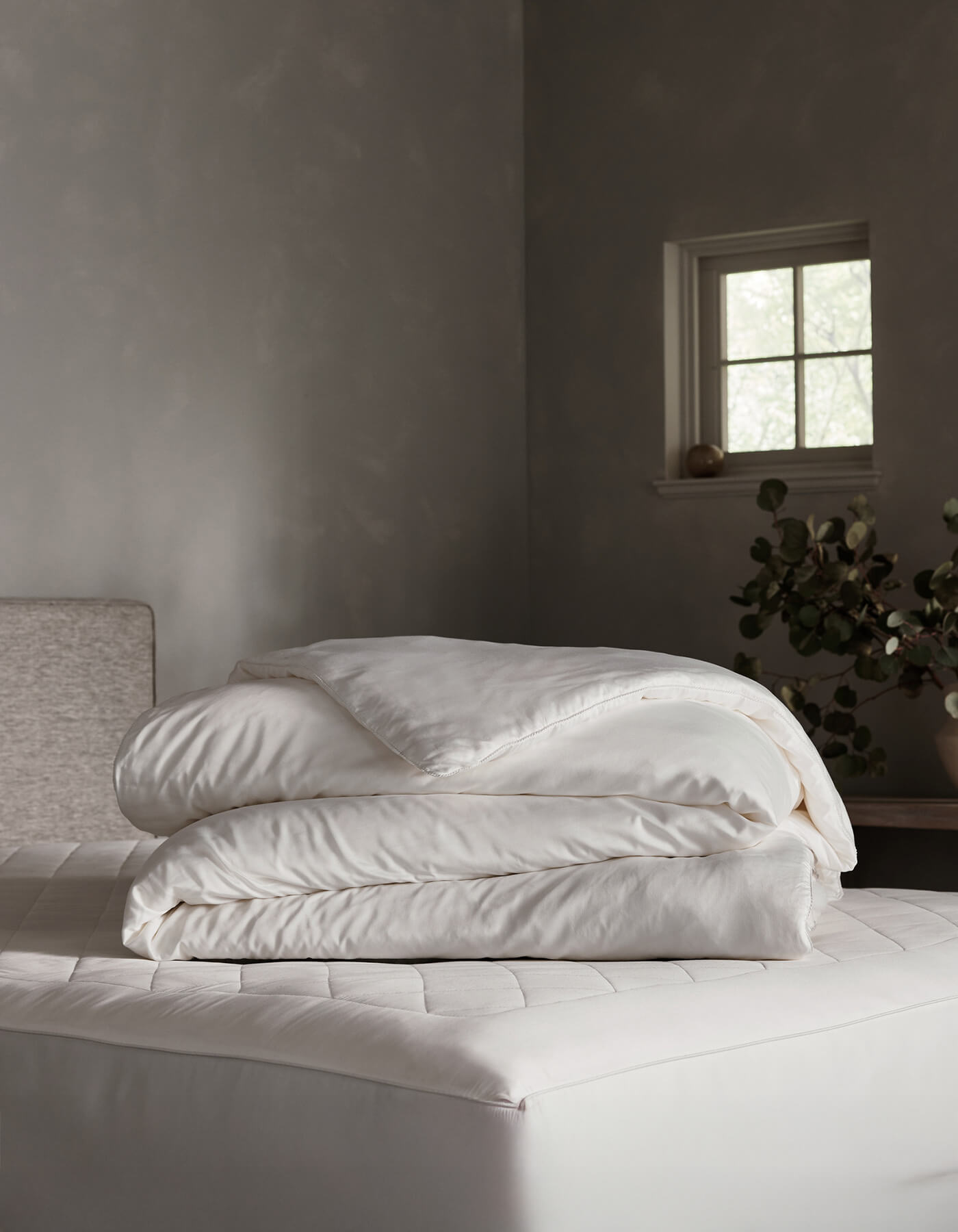 Silk Insert Bundle - Image 2