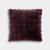 Raisin